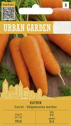 Carrot Katrin Seeds.